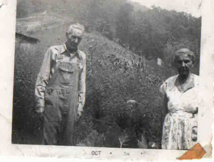 Martha Bear 1880 Census